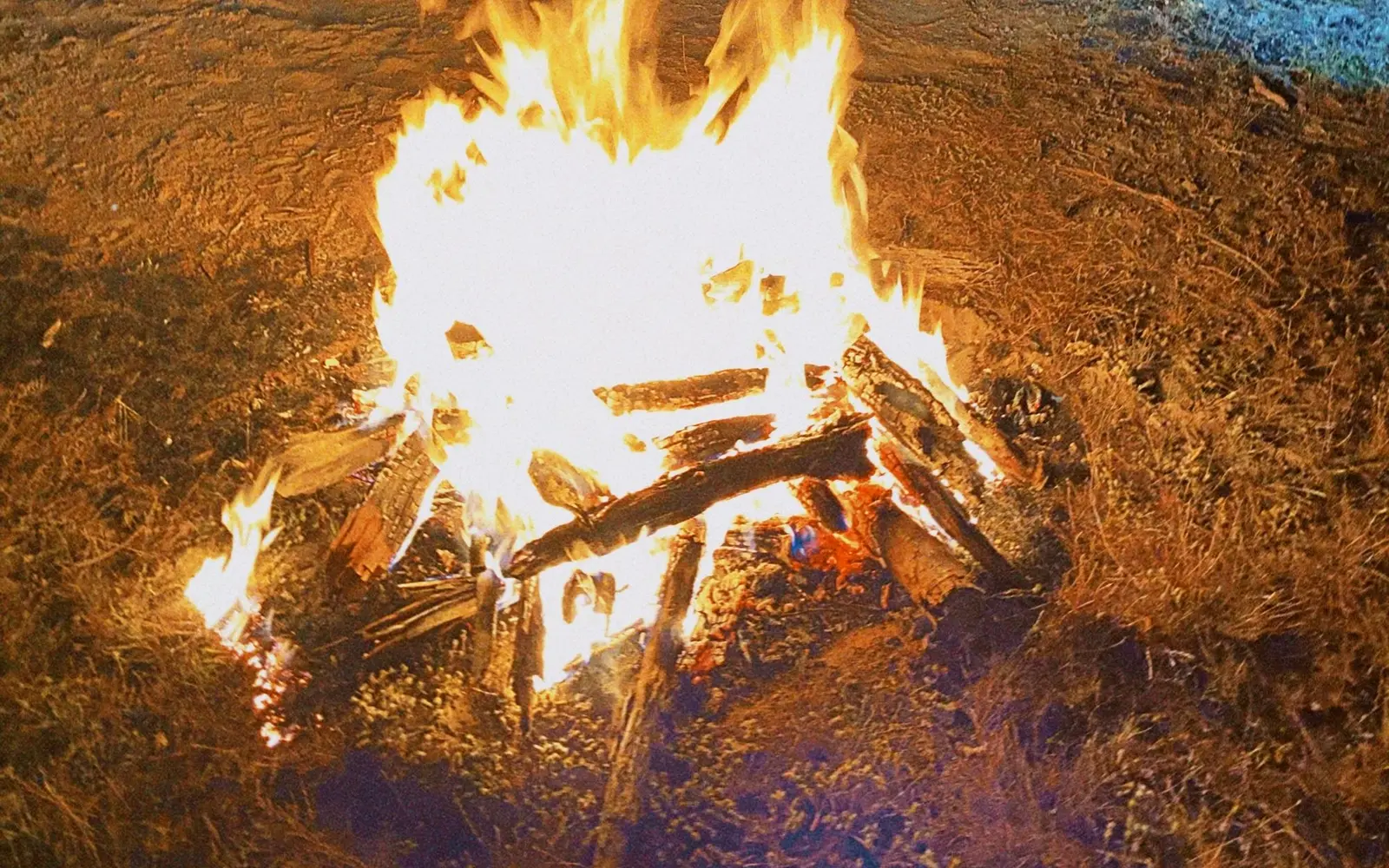Crackling campfire in a ring of logs at a forest campsite with tents behind