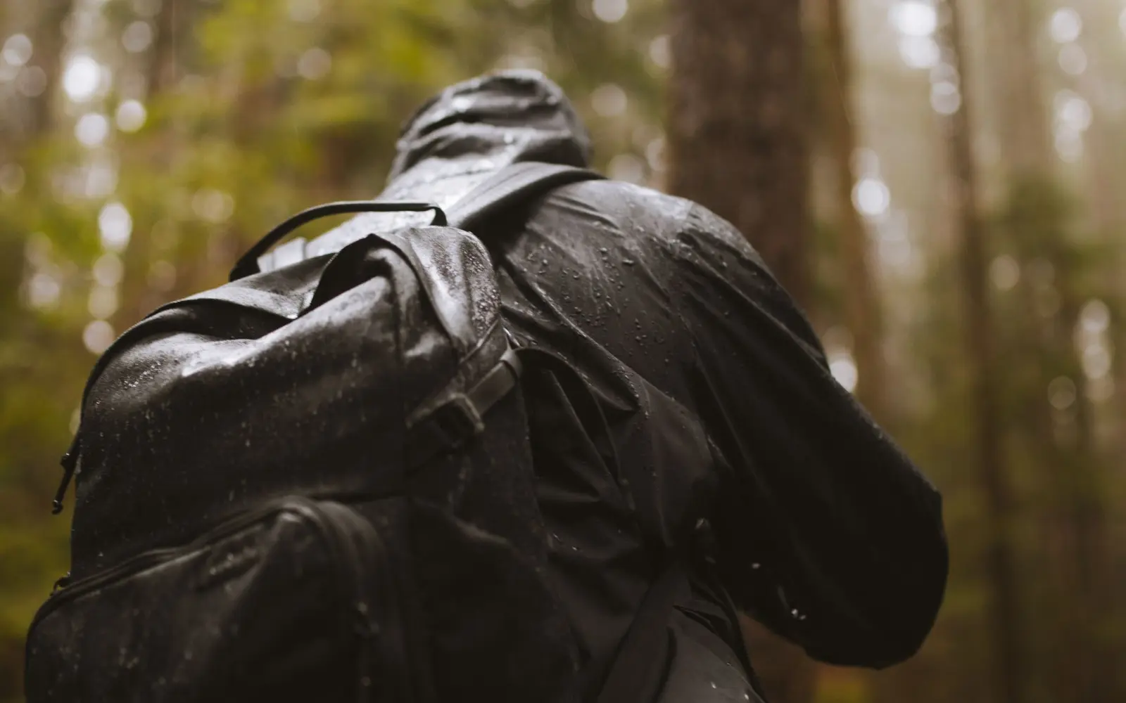 Hiker wearing a rain-soaked jacket and backpack walking through a misty conifer forest