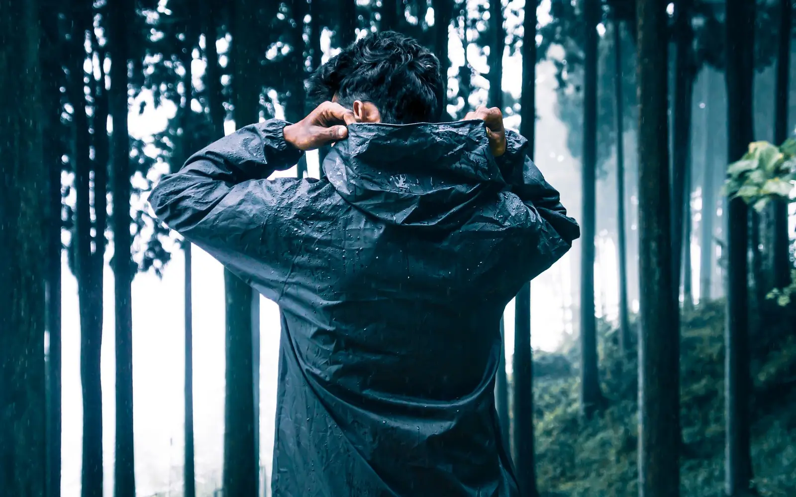 Hiker in a dark hooded rain jacket standing among tall misty conifers